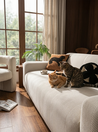 Sustainable, Pet-Friendly Home Textiles: How to Reduce Fur and Waste at the Same Time