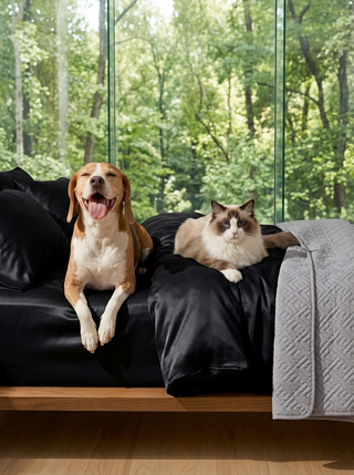 The Science Behind Pet-Hair-Resistant Technology