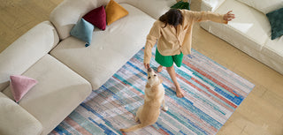 Pet-friendly activities for the whole family