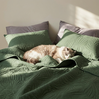 Slashop Pet Hair Resistant Technology Review: Does It Actually Work?