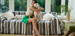 How to create a pet-friendly home office