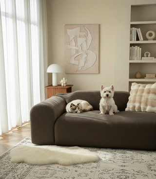 The Pet Parent's Guide to Pet Hair Resistant Fabric: How To Choose The Best Pet-Friendly Couch Cover