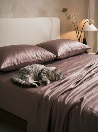 What OEKO-TEX Certification Really Means for Pet Owners