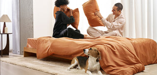 Best Christmas movies about pets