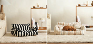 How to choose the right cat bed