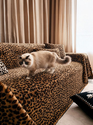 The Best Sustainable Pet-Friendly Upholstery Fabrics for Modern Homes