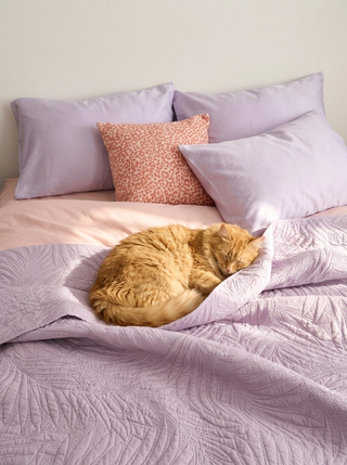 The Best Eco-Friendly Furniture Covers For Pet Hair Resistance: What Every Pet Parent Needs To Know