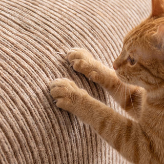 SoftWave Ribbed Chenille Nonslip Sofa Cover