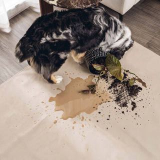 Spill-Resistant & Anti-Slip Sofa/Couch Cover for Pet Owners
