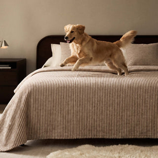SoftWave Ribbed Chenille Nonslip Sofa Cover