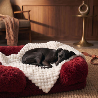 Cozy Chic Sofa Cover