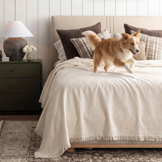 Pure Embrace Sofa/Couch Cover