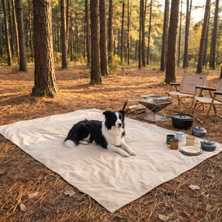 Spill-Resistant & Anti-Slip Sofa/Couch Cover for Pet Owners