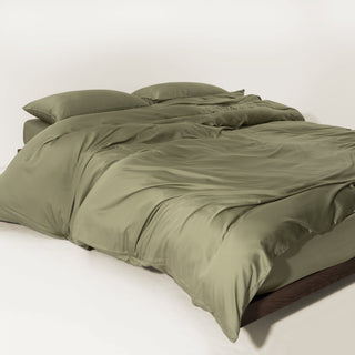 FURRFREE Bamboo Duvet Cover Set- Pet Hair Repellent for Dogs/Cats Family