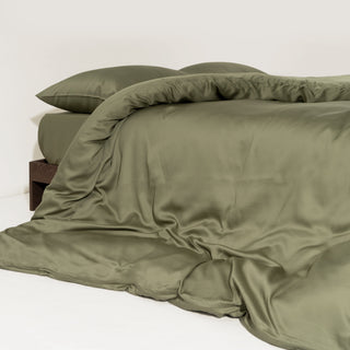 FURRFREE Bamboo Duvet Cover Set- Pet Hair Repellent for Dogs/Cats Family