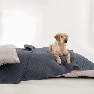 FURRFREE Diamond Mosaic Pattern Quilt Set - Pet Hair Repellent for Dogs/Cats Family
