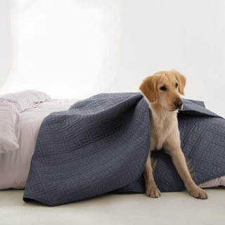 FURRFREE Diamond Mosaic Pattern Quilt Set - Pet Hair Repellent for Dogs/Cats Family