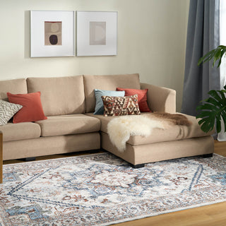 Easy Clean Rug Classic Boho Style Living Room Area Rug