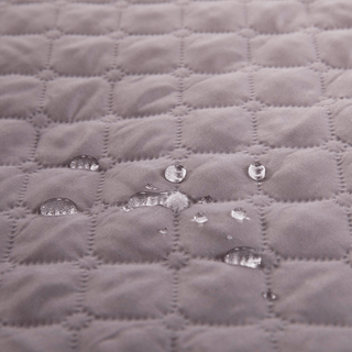 Spill-Resistant Sofa Cushion for Dog & Cats