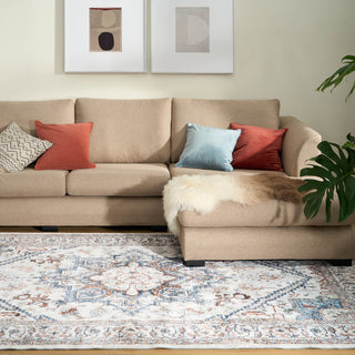 Easy Clean Rug Classic Boho Style Living Room Area Rug