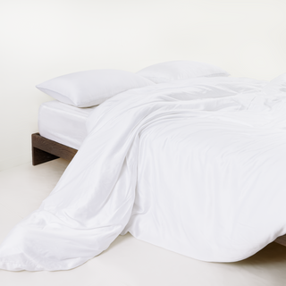 FURRFREE Bamboo Duvet Cover Set- Pet Hair Repellent for Dogs/Cats Family