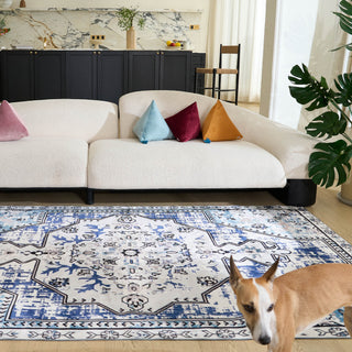 Easy Clean Rug Moroccan Boho Style Plush Pet Friendly Living Room Rug