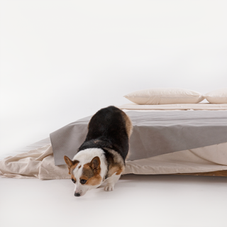 Spill-Resistant Coverlet - Scratch Resistant for Dogs/Cats Family