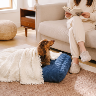 Soft Plush Multi-Purpose Sofa Protection Couch Cover Pet-Friendly Machine Washable Everyday Wear