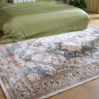 Easy Clean Rug Classic Boho Style Living Room Area Rug