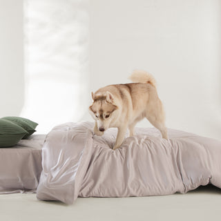 FURRFREE Spring Leaves Pattern Quilt Set - Pet Hair Repellent for Dogs/Cats Family