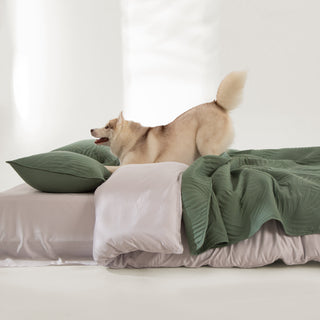 FURRFREE Spring Leaves Pattern Quilt Set - Pet Hair Repellent for Dogs/Cats Family