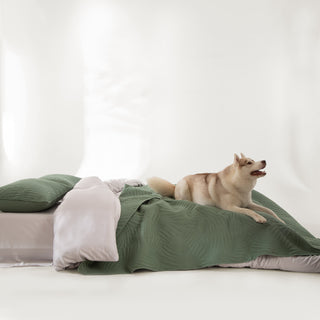 FURRFREE Quilt Set - Pet Hair Repellent for Dogs/Cats Family