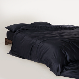 FURRFREE Bamboo Duvet Cover Set- Pet Hair Repellent for Dogs/Cats Family
