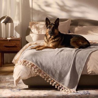Pet Friendly Herringbone Tassel Luxe Sofa/Couch Cover