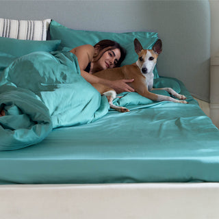 FURRFREE Bamboo Fitted Sheet - Pet Hair Repellent for Dogs/Cats Family
