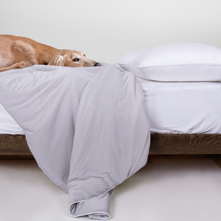 FURRFREE ChillGuard Comforter - Cooling & Pet Hair Repellent for Hot Sleepers/Pet Parents