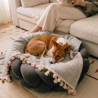 Pet Friendly Herringbone Tassel Luxe Sofa/Couch Cover