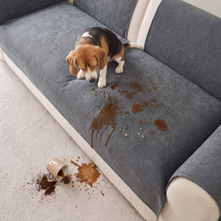 Spill-Resistant Chenille Pet-Friendly Non-slip Sofa Cover