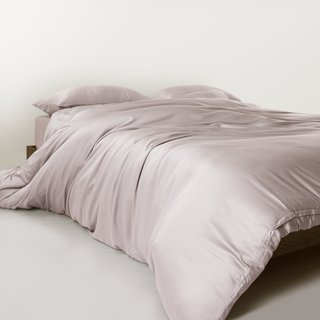 FURRFREE Bamboo Duvet Cover Set- Pet Hair Repellent for Dogs/Cats Family