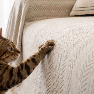 SnuggleTextile Anti-Scratch Washable Sofa Cover