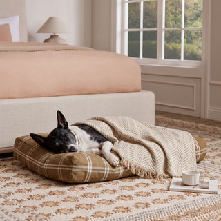 SnuggleTextile Anti-Scratch Washable Sofa Cover