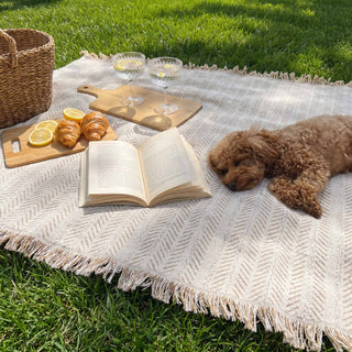 SnuggleTextile Anti-Scratch Washable Sofa Cover