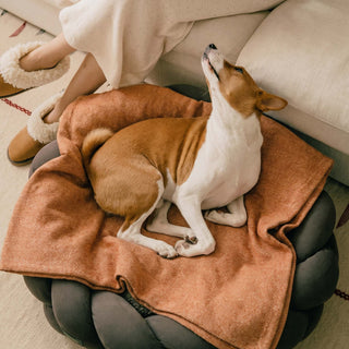Durable Pet Friendly Herringbone Sofa/Couch Cover