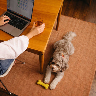 Durable Pet Friendly Herringbone Sofa/Couch Cover