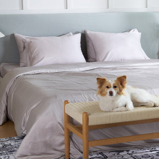 FURRFREE Bamboo Fitted Sheet Set - Pet Hair Repellent for Dogs/Cats Family