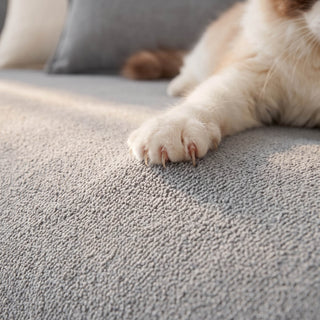 Spill-Resistant AquaLux Sofa/Couch Cover for Pet Owners