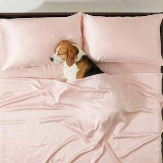 FURRFREE Bamboo Sheet Set - Pet Hair Repellent for Dogs/Cats Family
