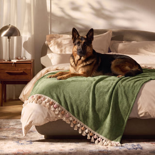 Pet Friendly Herringbone Tassel Luxe Sofa/Couch Cover