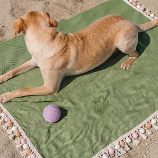 Pet Friendly Herringbone Tassel Luxe Sofa/Couch Cover