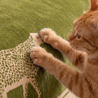 Safari Elegance Anti-Pilling Sofa / Couch Cover